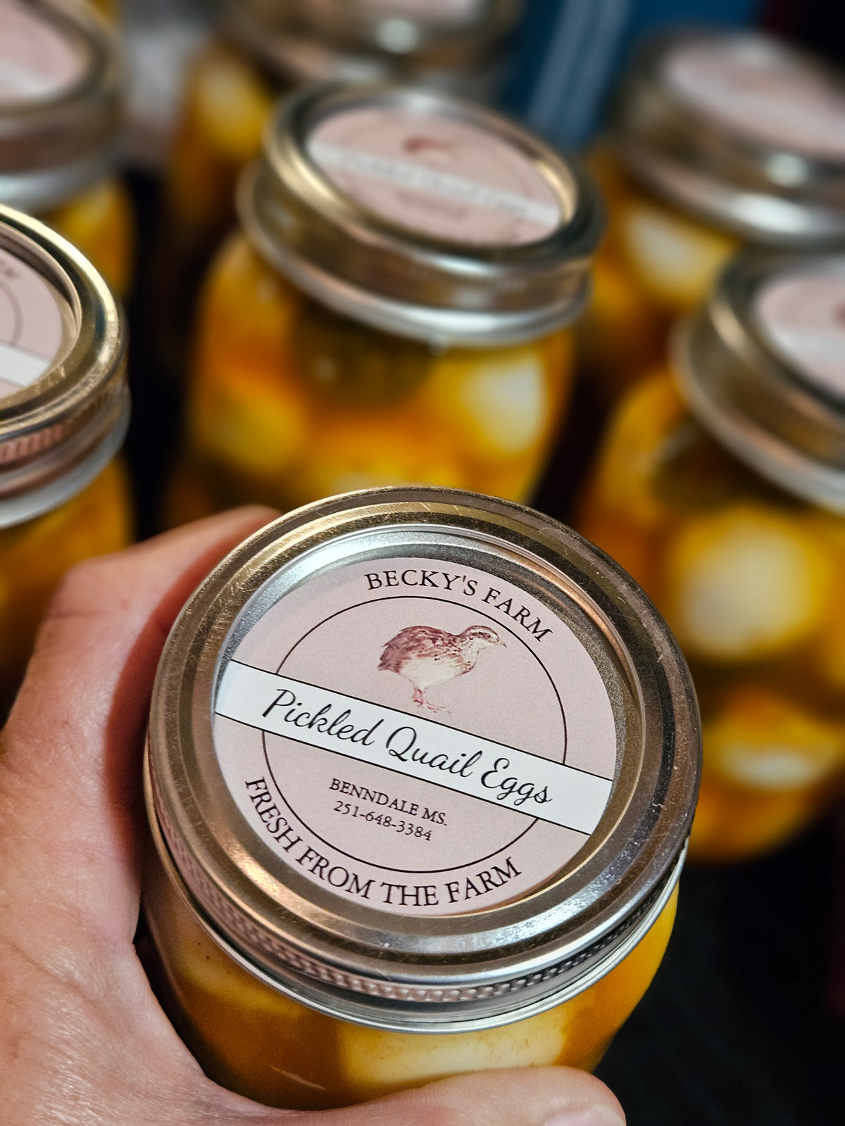 Pickled Quail eggs pint jars