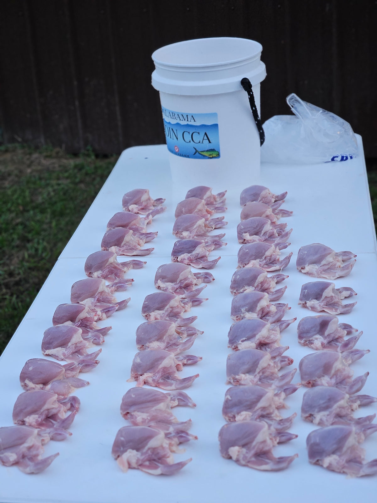 Fresh Quail Meat- Local pick up only email us for scheduling